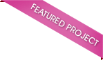 Our Projects